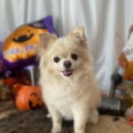 10/10 トリミング