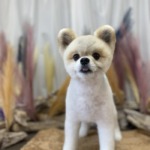 11/10　トリミング