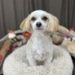 1/13　トリミング