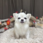 1/14　トリミング