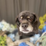 6/7　トリミング