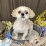 6/24　トリミング