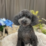 7/7　トリミング