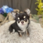 7/8　トリミング