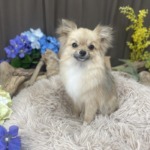 7/13 トリミング