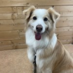 7/15 トリミング