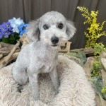 7/20 トリミング