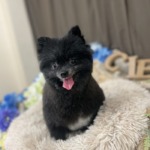 7/21　トリミング