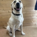 8/7　トリミング