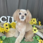 8/8　トリミング