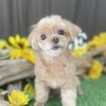 8/9　トリミング