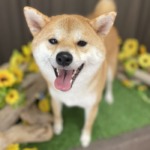 8/14　トリミング