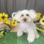 8/17　グルーミング