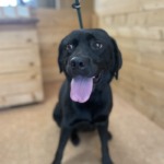 8/20　グルーミング