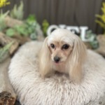 8/30　グルーミング