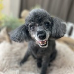 9/1　グルーミング