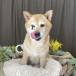 9/5　グルーミング