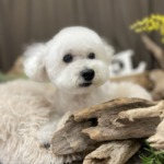 9/6　グルーミング