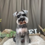 9/8　グルーミング