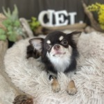 9/10　グルーミング