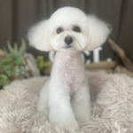 9/12 グルーミング