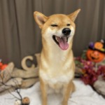 10/5　グルーミング