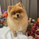 10/8　グルーミング