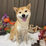 10/9　グルーミング