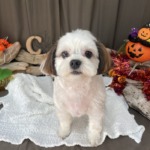 10/10　グルーミング