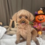 10/15　グルーミング