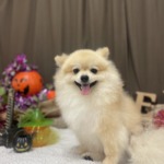 10/16　グルーミング