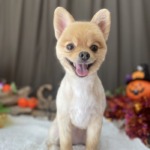 10/17　グルーミング