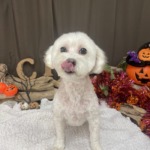 10/19　グルーミング