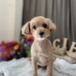 10/22　グルーミング