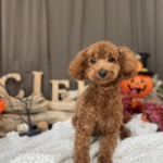 10/2３　グルーミング