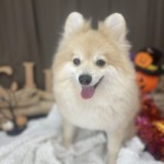 10/24　グルーミング