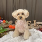 10/25　グルーミング