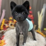 10/30　グルーミング