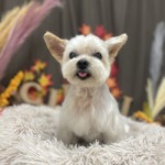 11/10　グルーミング