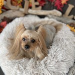 11/13　グルーミング