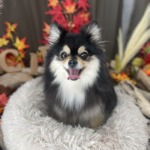 11/14　グルーミング