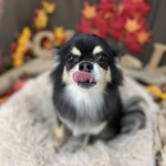 11/16　グルーミング