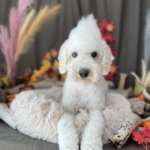 11/24　グルーミング