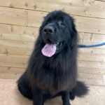 11/27 グルーミング