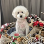 12/11　グルーミング