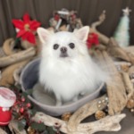 12/13　グルーミング