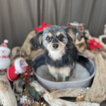 12/14　グルーミング