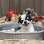 12/15　グルーミング