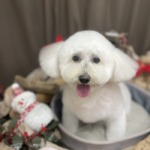 12/23　グルーミング