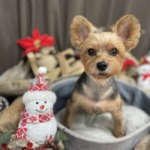 12/24　グルーミング